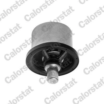 Bilde av Termostat, kjølemiddel, porsche carrera gt, 12276553, 1544683, 15446834, 1676306, 2719900300, 5001855520, 51064010045, 5118264, 5119826,