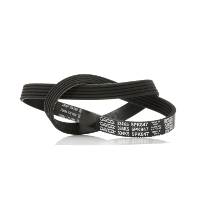 Bilde av DAYCO 5PK847 Kileribberem 847,0 5 FORD: Focus 2, KUGA 1, VOLVO: V50, S40 II, HONDA: CIVIC 8 Hatchback, Jazz 2
