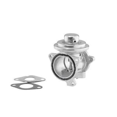 Bilde av WAHLER 7271D/1 EGR Ventil pneumatisk med tetning SKODA: Roomster, Fabia 1 Combi, VOLKSWAGEN: Polo IV Hatchback, AUDI: A2