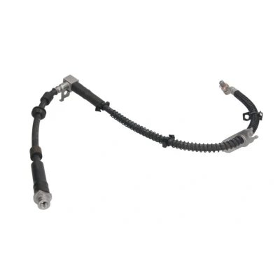 Bilde av TRW PHD2073 Bremseslange 560, 310 M10x1 LAND ROVER: Discovery 3, 4