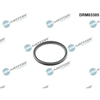 Bilde av DR.MOTOR AUTOMOTIVE DRM03305 Tetningsring, laseluftslange RENAULT: Kangoo II / Grand