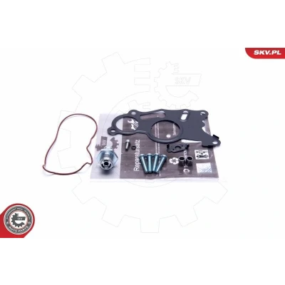 Bilde av Reparatorsett, undertrykkspumpe (bremsesystem), audi,seat,skoda,vw, 03L145100, 3L145100F