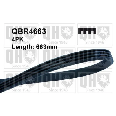 Bilde av QUINTON HAZELL QBR4663 Kileribberem 663 4 FIAT: Doblo I Cargo, Stasjonsvogn