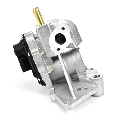 Bilde av DELPHI EG10424 12B1 EGR Ventil med tetning VOLKSWAGEN: Passat B6 Variant, Touran I, Golf 5, AUDI: A3 Sportback, SKODA: Octavia 2 Combi