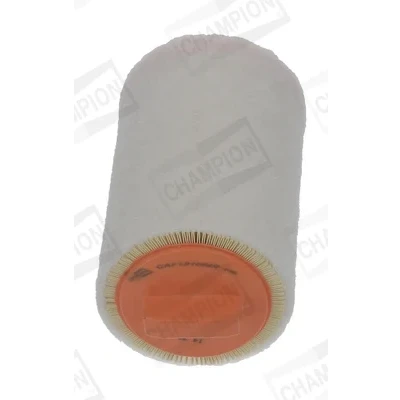 Bilde av CHAMPION CAF101066R Luftfilter 236 130 Filterinnsats MINI: Hatchback, Countryman, Clubman