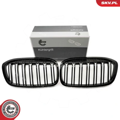 Bilde av ESEN SKV 66SKV042 Radiatorgitter glanset, svart BMW: 2 Active Tourer