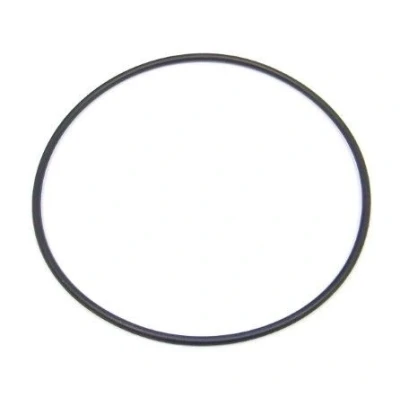 Bilde av O ring ELRING 863.631