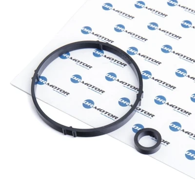 Bilde av DR.MOTOR AUTOMOTIVE DRM0615 Pakninger