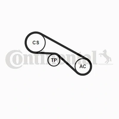 Bilde av CONTITECH CT988K2 Registerreimsett 96 RENAULT: Kangoo II Express, I