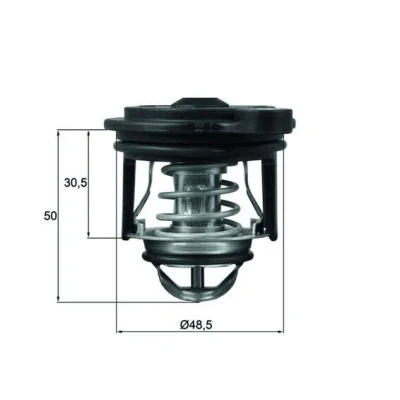 Bilde av MAHLE ORIGINAL TI 246 50 Termostat med tetning FORD: FIESTA 6