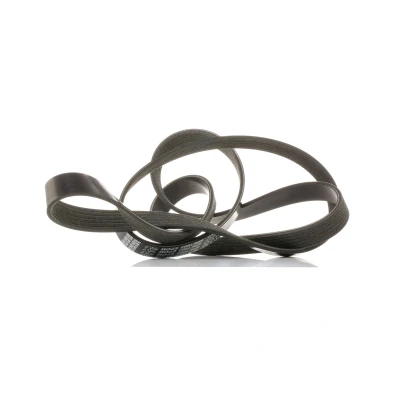 Bilde av DAYCO 6PK1663S Kileribberem 1663,0 6 BMW: 5 Touring, Sedan, 3 KIA: Proceed