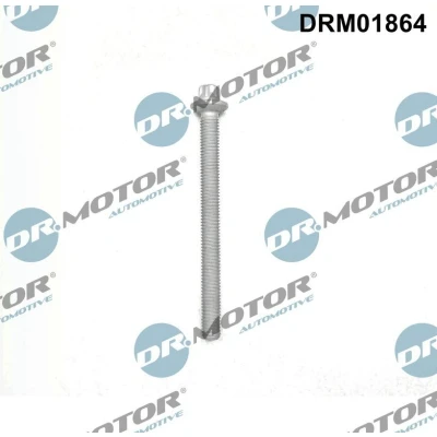 Bilde av DR.MOTOR AUTOMOTIVE DRM01864 skrue, innsprøytningsdyseholder BMW: X5, 5 Touring, 3 MINI: Clubman