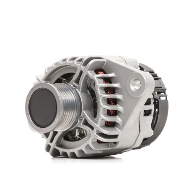 Bilde av DENSO DAN994 Dynamo 14V 100A FIAT: Ducato III Flatvogn lastebil / Chassis, Punto Evo Hatchback, Croma II Stasjonsvogn, ALFA ROMEO: MiTo