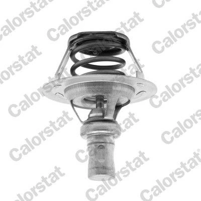 Bilde av Termostat, kjølemiddel, dacia,renault, 6001543366, 7700742617