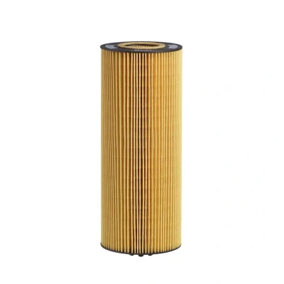 Bilde av HENGST FILTER E500H D129 Oljefilter Filterinnsats MERCEDES BENZ: ACTROS