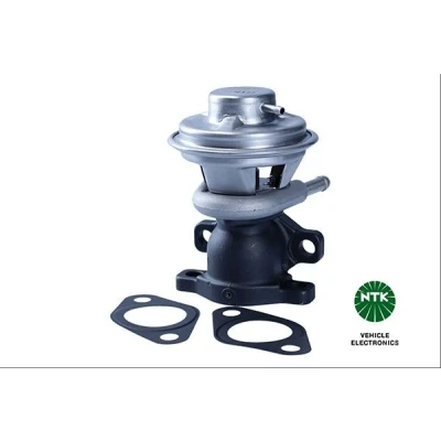 Bilde av NGK 91346 EGR Ventil pneumatisk med tetning FIAT: Ducato III Flatvogn lastebil / Chassis, Van, Minibuss
