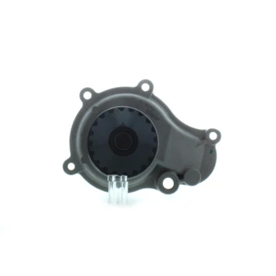 Bilde av AISIN WPA 009 Vannpumpe CHRYSLER: Voyager 4, / Grand 3