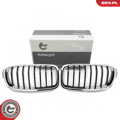 Bilde av ESEN SKV 66SKV122 Radiatorgitter krom/sort BMW: 3 Sedan, Touring