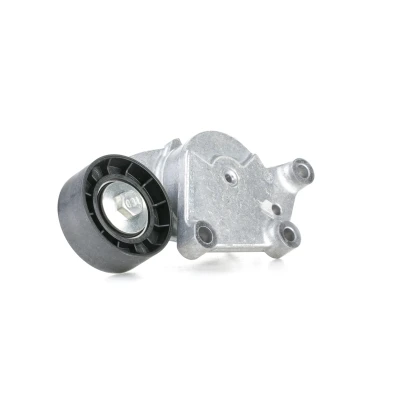 Bilde av SNR GA359.19 Strammerull PEUGEOT: 508 I SW, 3008 I, 5008 MINI: Hatchback, Clubman, CITROËN: C5 III Stasjonsvogn, Berlingo II