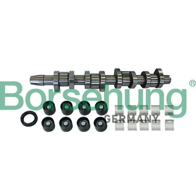 Bilde av Borsehung B11307 Kamakselsett uten ventiler VOLKSWAGEN: Caddy 3, Passat B6 Sedan, Polo IV Hatchback, AUDI: A3 Sportback