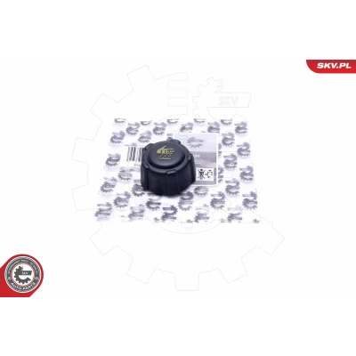 Bilde av Skrulokk, kjølevæsketank, citroën,dacia,fiat,mercedes benz,mitsubishi,nissan,opel,peugeot,renault,smart,suzuki, 1793184A00, 21430AX300,