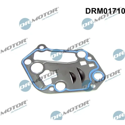 Bilde av DR.MOTOR AUTOMOTIVE DRM01710 Pakninger AUDI: A4 B6 Avant, VOLKSWAGEN: Passat B5 GP Stasjonsvogn