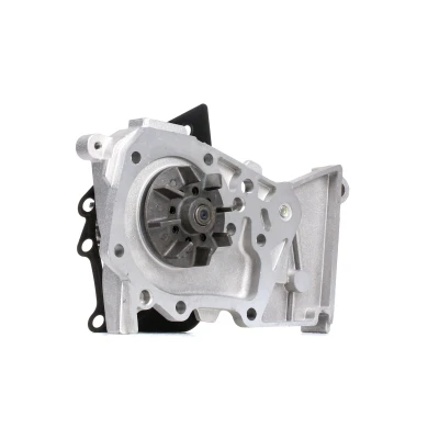 Bilde av DOLZ R236 Vannpumpe RENAULT: MEGANE 3, Kangoo II Express, SCENIC 3
