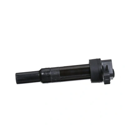 Bilde av DELPHI GN10633 12B1 Tennspole 2 12