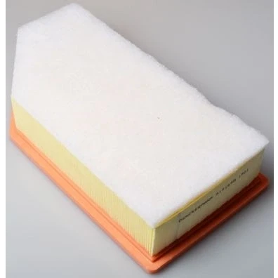 Bilde av Luftfilter, citroën c5 iii, break c6, peugeot 407, 407 coupé, sw, 1444QA, 1444QK, 1444WL, 9655535780