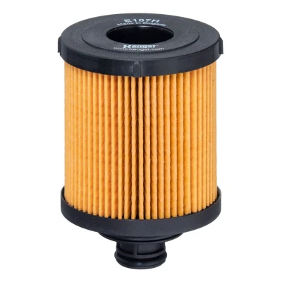 Bilde av HENGST FILTER E107H D166 Oljefilter Filterinnsats OPEL: Combo C Varebil / Stasjonsvogn, Astra H Caravan, Corsa D Hatchback, FIAT: 500 Hatchback