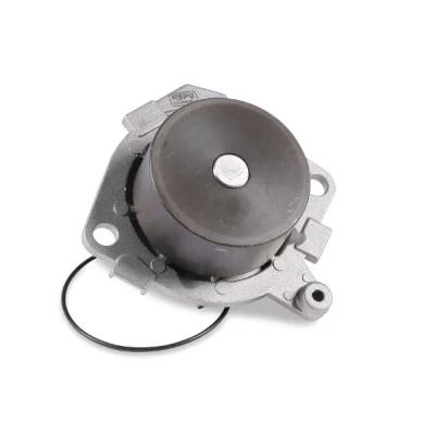 Bilde av HEPU P1087 Vannpumpe med tetning mekanisk 68 FIAT: Stilo Hatchback