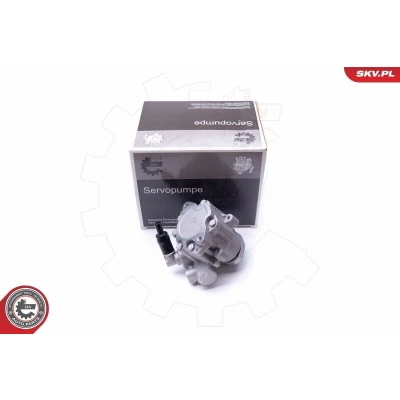 Bilde av ESEN SKV 10SKV282 Hydraulikkpumpe VOLKSWAGEN: Polo IV Hatchback, III Hatchback