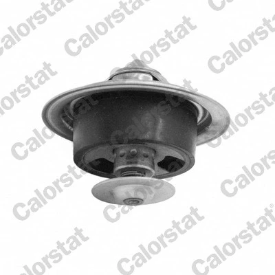 Bilde av Termostat CALORSTAT by Vernet TBS1001.82
