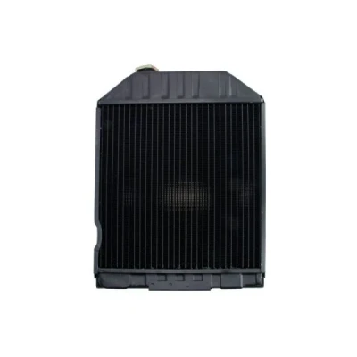 Bilde av Radiator THERMOTEC D7AG063TT