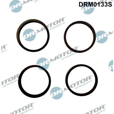 Bilde av DR.MOTOR AUTOMOTIVE DRM0133S Tetningssett, innsugningsmanifold