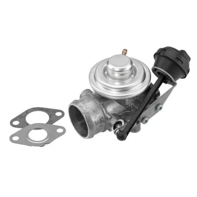 Bilde av WAHLER 7301D/1 EGR Ventil pneumatisk med tetning AUDI: A2