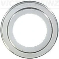 Bilde av REINZ 70 23062 00 Ventiltetning