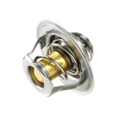 Bilde av Termostat, kjølemiddel, Foran, audi,citroën,mitsubishi,nissan,rover,seat,skoda,vw, 050 121 113 C, 113C, 050121113C, 050121113CS,