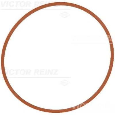 Bilde av REINZ 71 17146 00 Innsugspakning FPM (fluor kautsjuk)