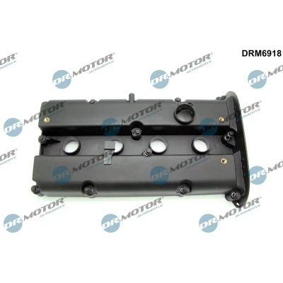 Bilde av DR.MOTOR AUTOMOTIVE DRM6918 Sylindertopp Hette FORD: Focus 2, 2 Kombi