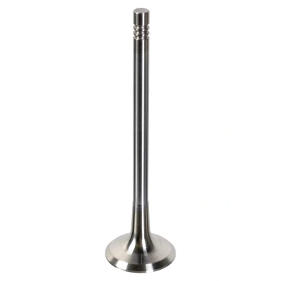 Bilde av FEBI BILSTEIN 181648 Eksosventil 42 AUDI: Q5, A4 B6 Avant, A3 Sportback, VOLKSWAGEN: Golf 6, Touran I, 5, SKODA: Octavia 2 Combi