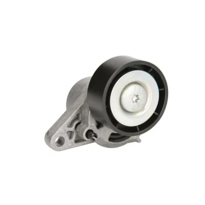 Bilde av BTA E3R0001BTA Strammerull RENAULT: Kangoo I, LAGUNA 2 Grandtour, MEGANE