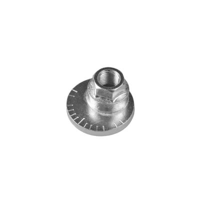 Bilde av TEDGUM TED48023 Camber justeringsskrue TOYOTA: RAV4 II SUV