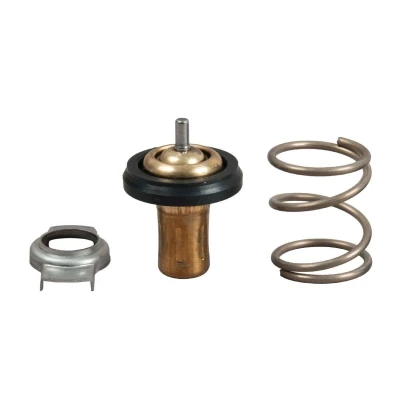 Bilde av GATES TH49288G1 Termostat 88 med tetning ALFA ROMEO: Giulietta Hatchback, FIAT: Ducato III Flatvogn lastebil / Chassis