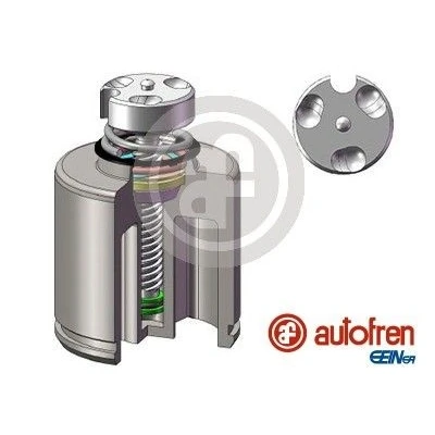 Bilde av AUTOFREN SEINSA D025627LK Stempel, bremseklave 60 bakaksel Brembo