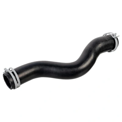 Bilde av FEBI BILSTEIN 178469 Radiatorslange øvre EPDM (etyl propylen dien gummi) med bøyler PEUGEOT: Expert II Tepee