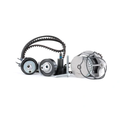 Bilde av INA 530 0538 30 vannpumpe + Registerreimsett med VOLKSWAGEN: Caddy 3, Golf 6, 5, SKODA: Octavia 2 Combi, Roomster, II Hatchback