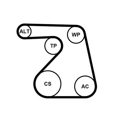 Bilde av CONTITECH 6PK1217K2 Kileribberem OPEL: Astra J Sports Tourer, Hatchback, Corsa D Hatchback