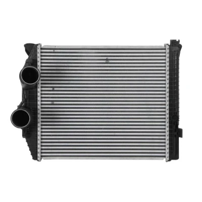 Bilde av Intercooler THERMOTEC DAME002TT