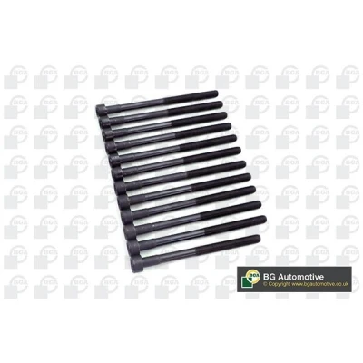 Bilde av Boltsett, sylindertopp, ssangyong kyron, rexton / ii, rodius i, 6659901012, 6659901112(x11)